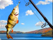 Addictive Angling - Top Games
